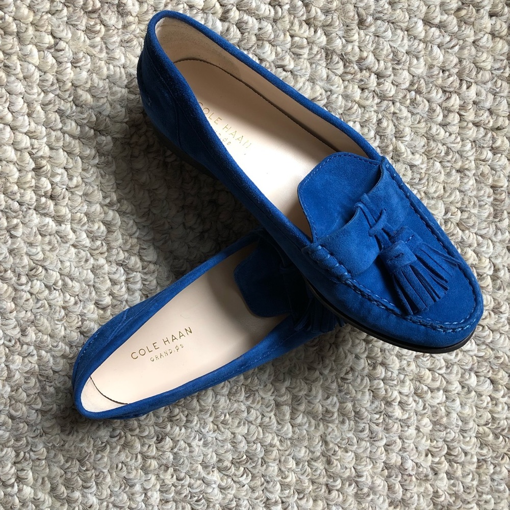 Electric Blue Suede Tassel Loafer